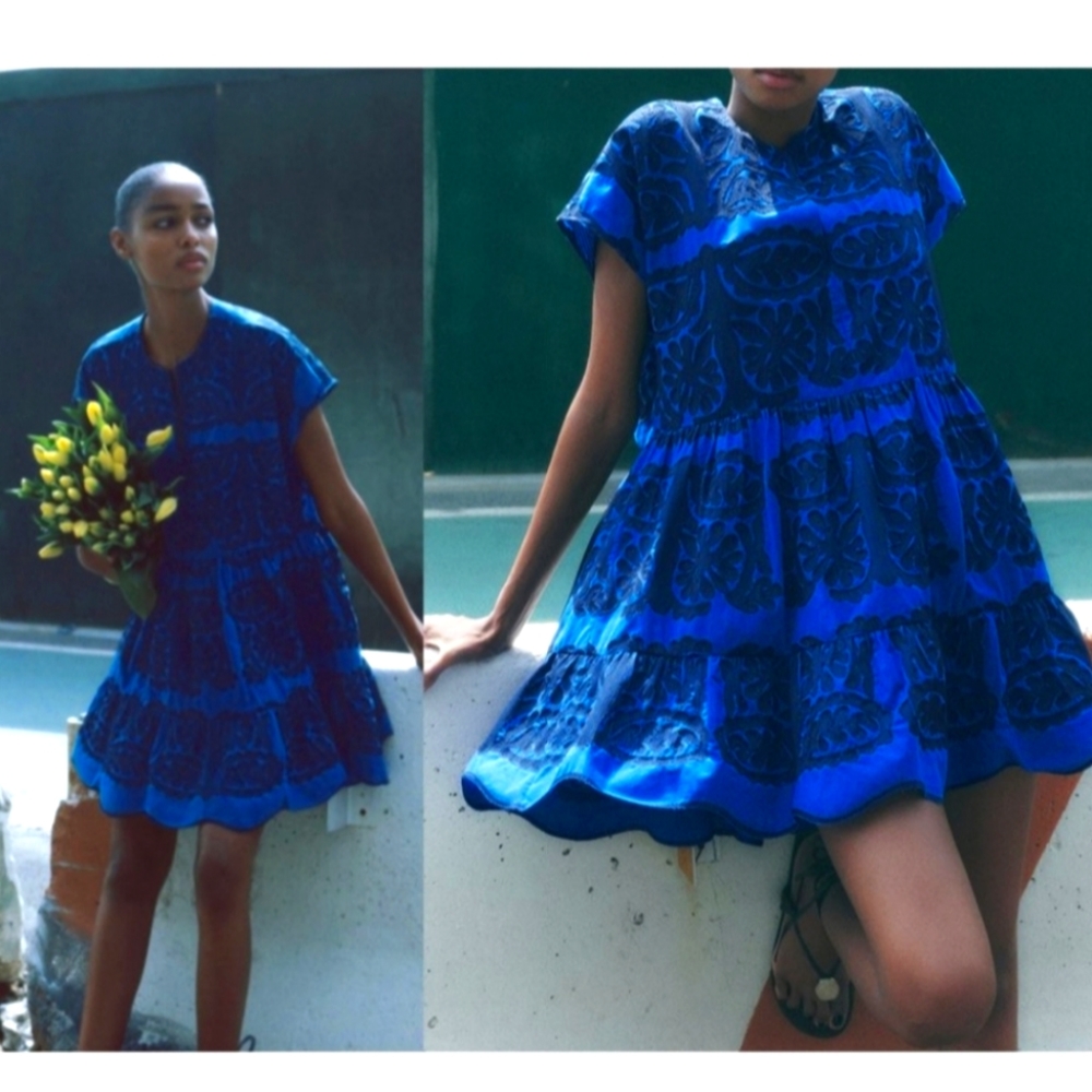 Zara New with Tags Blue Embroidery Mini Dress